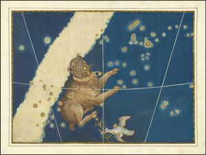 Canis Major - Johann Bayer av Johann Bayer