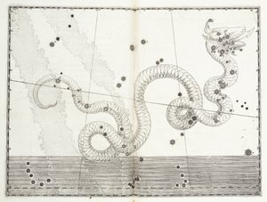Constellation of Serpens Head and Serpens Tail, c.1603