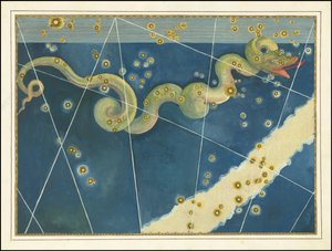 Hydra - Johann Bayer av Johann Bayer