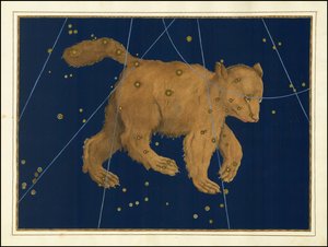 Johann Bayer, Ursa Major av Johann Bayer