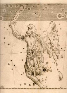 Uranometria (1661) som visar stjärnbilden Orion