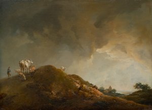 Kuperat landskap med kor och får