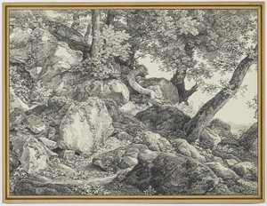I parken Palazzo Chigi, Ariccia, 1818 (grafit & svart krita på lagt papper) av Johann Christian Reinhardt