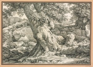 Trädstudie i klippig terräng av Johann Christian Reinhart