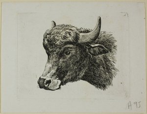 Buffalo Head Facing Left, från Die Zweite Thier Folge av Johann Christian Reinhart