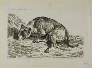 Dog Laying Down, från The Second Succession of the Thief av Johann Christian Reinhart