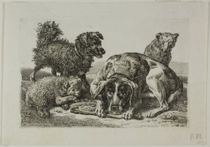 Fyra hundar, från Die Zweite Thier Folge av Johann Christian Reinhart