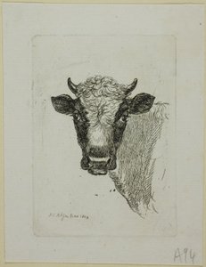 Chef för en ung tjur, från Die Zweite Thiernahme av Johann Christian Reinhart