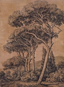 J C Reinhart Paraplytallar 1791 av Johann Christian Reinhart