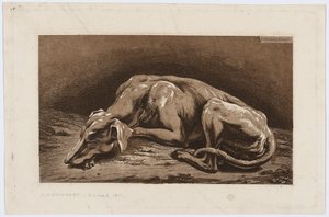 Sovande vinthund av Johann Christian Reinhart