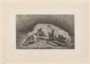 Sovande vinthund av Johann Christian Reinhart