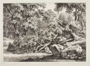 Skogsmiljö med en knäckt ek av Johann Christian Reinhart