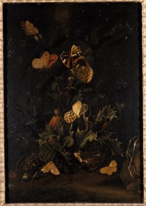 Blommor med fjärilar och padda (olja på ekträ) av Johann Christian Thomas Winck