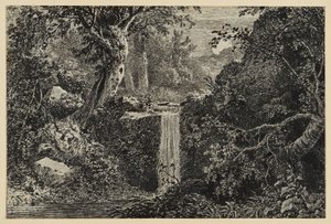 Vattenfall i skogen av Johann Christoph Erhard