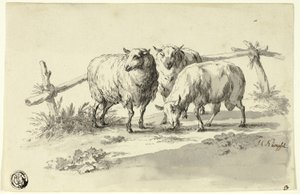 Får av Johann Christoph Kimpfel