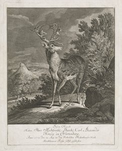 En magnifik hjort i ett landskap