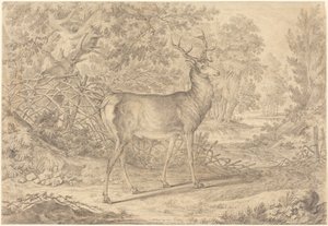 En ståtlig ung kronhjort framför ett flätverksstaket av Johann Elias Ridinger