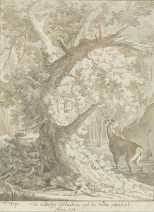 Jägare förtöjer på en kronhjort i vattnet under ett gammalt träd av Johann Elias Ridinger