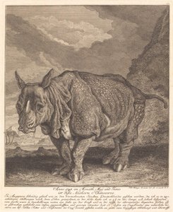 Noshörning av Johann Elias Ridinger
