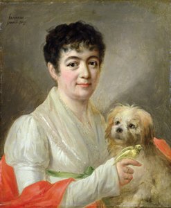 Portræt af en ukendt kvinde, 1809 swed