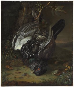 En svarttupp i ett skogslandskap, 1747 av Johann Friedrich von Grooth