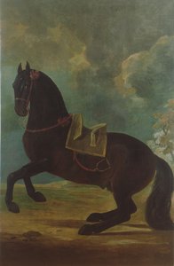 The Bay Stallion med spansk sadel