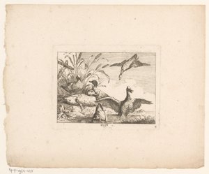 Landskap med sex ankor Fåglar i landskap (serietitel) av Johann Georg Hertel (I) (possibly)