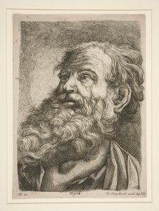 Manligt överhuvud (för en apostel?) av Johann Georg Hertel