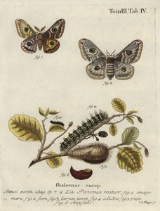 Okänd bild av Johann Georg Klinger