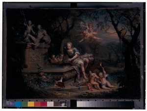 Narcissus reflekteras i en brunn av Johann Georg Platzer