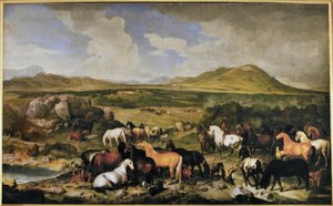 Johann Georg de Hamilton / Lippizaner av Johann Georg de Hamilton