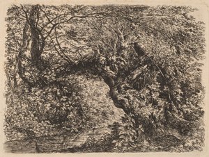 En gammal pil vid en bäck av Johann Georg von Dillis