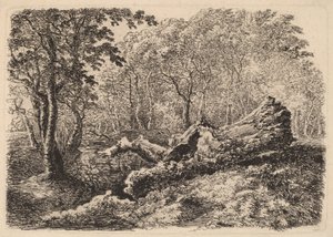 Formande trädstam, 1794.