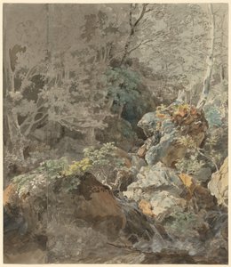 Vattenfall i en bergsskog av Johann Georg von Dillis