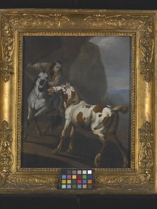Indian Taming A Horse (olja på duk) av Johann Heinrich Roos