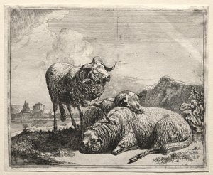 swedish av Johann Heinrich Roos