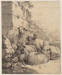 Fyra liggande och ett stående får framför en mur, blad ur serien ”Får och getter” av Johann Heinrich Roos
