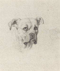 En boxare av Johann Heinrich Wilhelm Tischbein