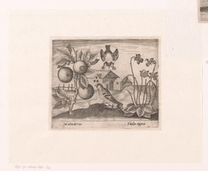 Serie av tryck med blommor och djur i ett landskap Landskap med citrusväxt, fåglar och violer Landskap med djur, växter och blommor (serietitel)