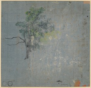 Trädstudier (verso) av Johann Jacob Dorner