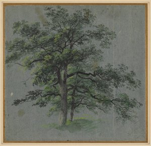 Två träd (recto) av Johann Jacob Dorner