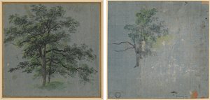 Två träd (recto) Trädstudier (verso) av Johann Jacob Dorner