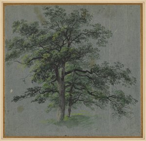 Two Trees recto Tree Studies tergo, första hälften av 1800-talet. av Johann Jacob Dorner