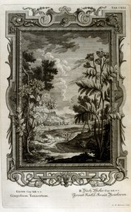 swedish av Johann Jakob Scheuchzer