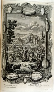 Pest av löss och myggor av Johann Jakob Scheuchzer