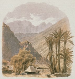 Sinai. Etsning av Bernatz et al - Steinkopk J.F. Redaktör av Johann Martin Bernatz