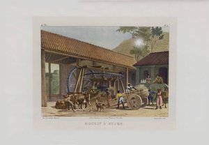 Sockerkvarnen. Från pittoreska resor i Brasilien, 1830-1835.