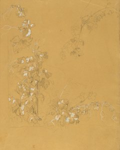 Weinstock, studie för "Hermann och Dorothea i vingården" av Johann Peter Krafft