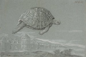 Studie av en sköldpadda och utsikten till en befäst stad vid havet (Venedig)