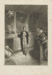 Tittar på djur av Johann Wilhelm Kaiser (I)